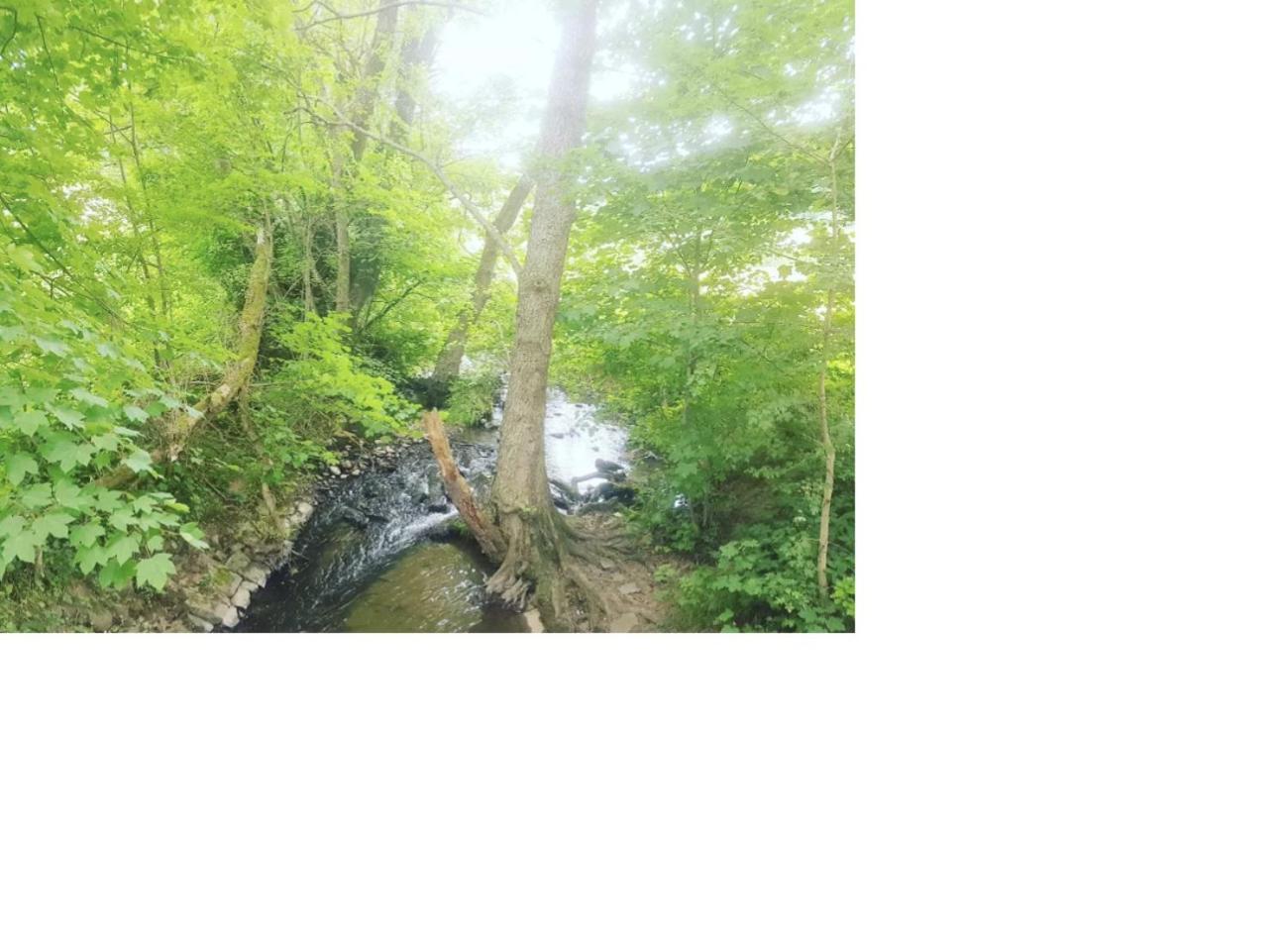 Aussergewoehnliche Auszeit - Metime1 Felsberg Luaran gambar