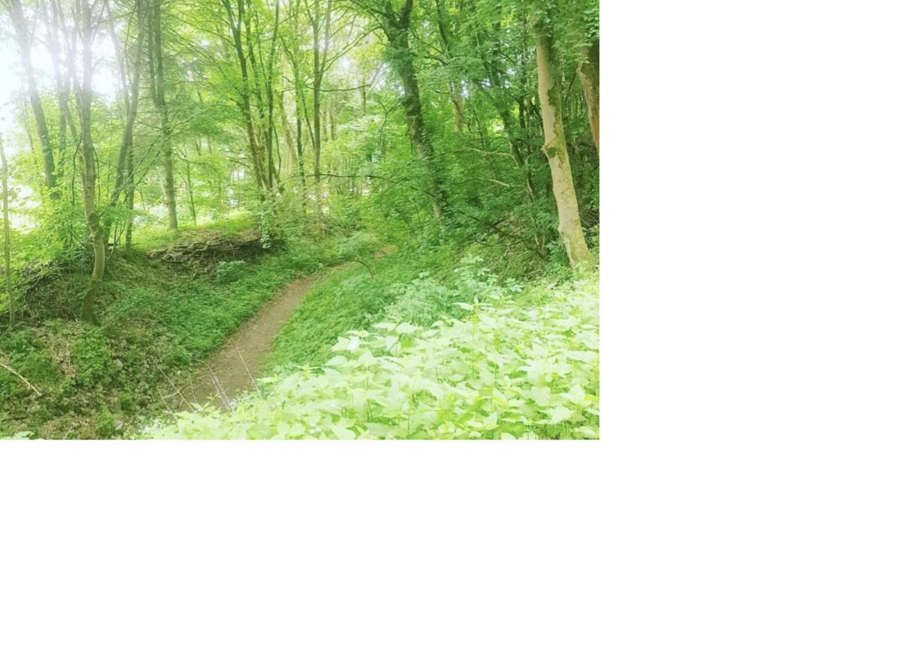 Aussergewoehnliche Auszeit - Metime1 Felsberg Luaran gambar